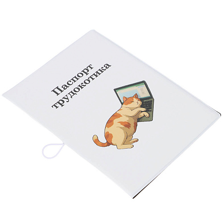 Обложка для паспортатм ЮL с отд.для карт и удерживающей резинкой , ПВХ, 13,7х9,6см, 6 дизайнов, #2