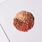 ЮНИLOOK Румяна многоцветные сияющие, 6 гр, тон 01, карамельно-персиковый