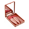 ЮНИLOOK Набор кистей в пластиковом футляре с зеркалом 5шт, 11,1x8,5см, пластик, ворс нейлон