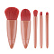 ЮНИLOOK Набор кистей в пластиковом футляре с зеркалом 5шт, 11,1x8,5см, пластик, ворс нейлон
